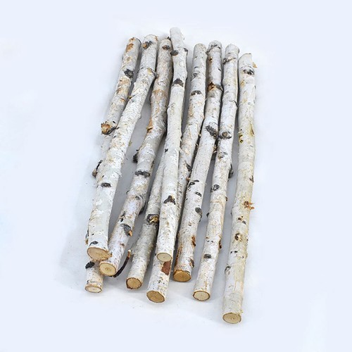 1pz ramo albero secco betulla - 1pz,