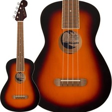 Fender Acoustics Spring Classe