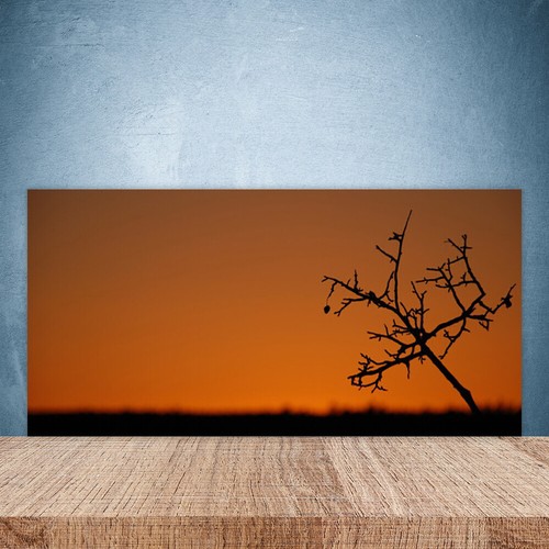 Paraschizzi cucina 100x50 - paraschizzi,
