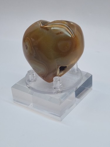 Minerali cuore legno - di,