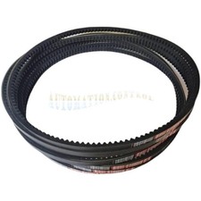 1613903205 Cinghia per