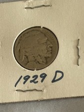 1929 d bufalo nichel