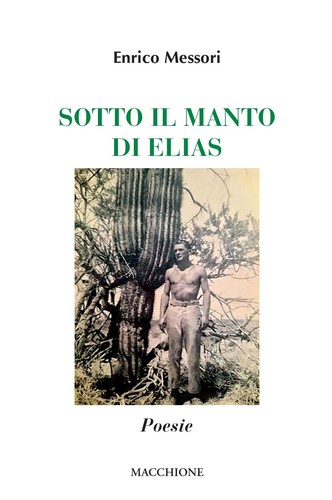 Libri enrico messori sotto - enrico,