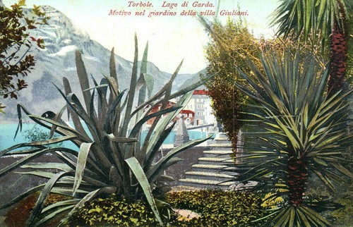 Cartolina torbole lago - cartolina*,