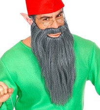 Barba lunga con baffi per più personaggi, da uomo, taglia unica, colore grigio