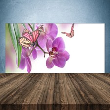 140x70 Paraschizzi in Vetro