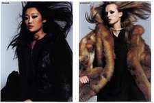 2002 Michael Comte Fur Report