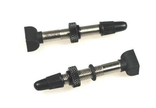 Valvole tubeless swiss 2 - dt,