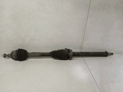 A1683603372 semialbero ant - semialbero,