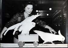 Foto vintage Parigi Pappagalli