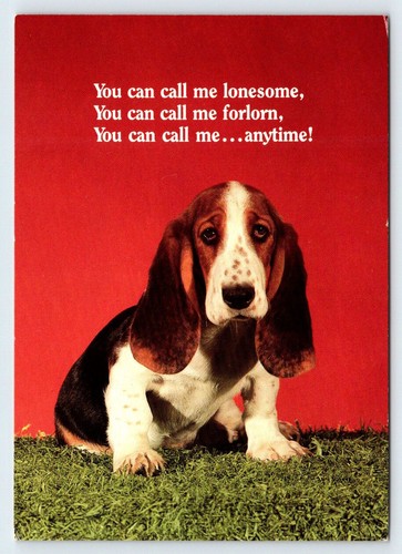 Carino basset hound cucciolo - hound,