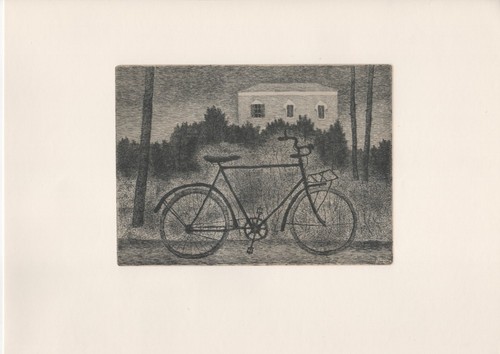 Giuseppe viviani bicicletta - giuseppe,