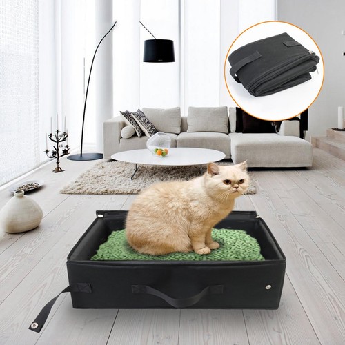 Cat toilet trainer - cat,