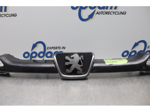 Griglia radiatore peugeot 206 - radiatore,