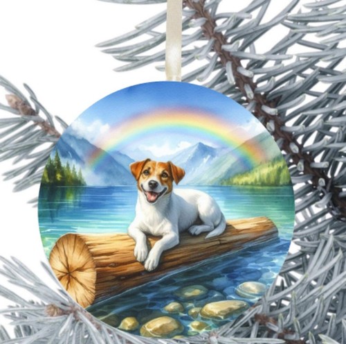 Jack russell cucciolo cane - russell,