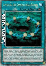 APERTURA DEI CANCELLI DEGLI