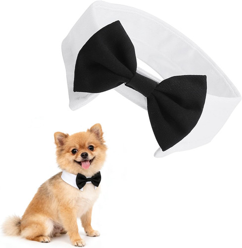 Collare papillon cane - papillon,
