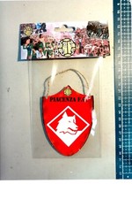 scudetto gagliardetto legno