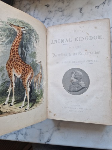 The animal kingdom - (1854),