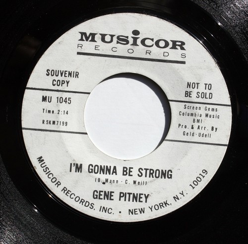 Gene pitney pop souvenir - gene,