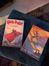 COLLEZIONISMO, libri harry potter prima edizione