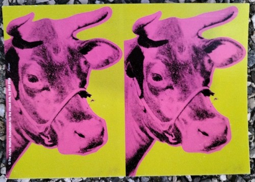 Andy warhol trieste 2006 - andy, 2006-