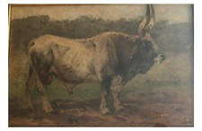 Giuseppe Raggio,Toro, Olio Su Tela, 27x40 Cm