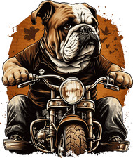 Adesivo bulldog inglese 9 - bulldog,