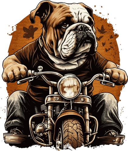 Adesivo bulldog inglese - 9, 9