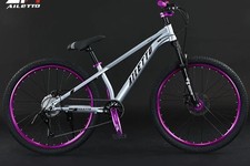 Dirt bike strada mountain bike