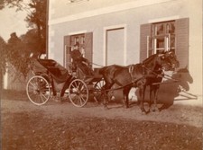 114/462 Foto Cavalli Cocchio Beruf Cocchiere? Schoenfeld Sassonia ??? Um Anno