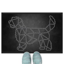 Petit Basset Grifone Vandea