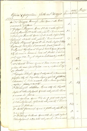 1880 siena tenuta - tenuta, volte