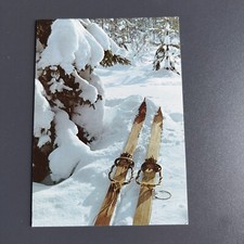 Norvegia. Vecchi sci di