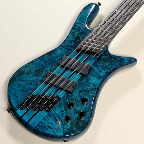 Spector dimension 5 - spector,