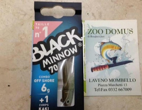 Black minnow soft bait - black,