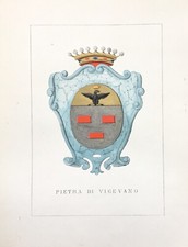 1882 ARALDICA STEMMA FAMIGLIA PIETRA VIGEVANO Litografia 