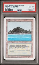 Tropical Island Revised PSA 8