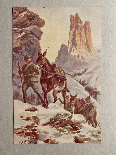 Regio esercito alpini - regio,