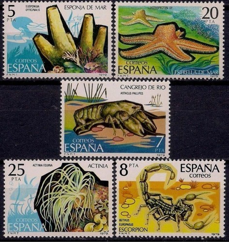 Spagna 1979 stella pesce - spagna,
