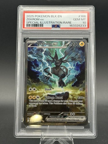 Pokemon 2025 blk - 2025, en