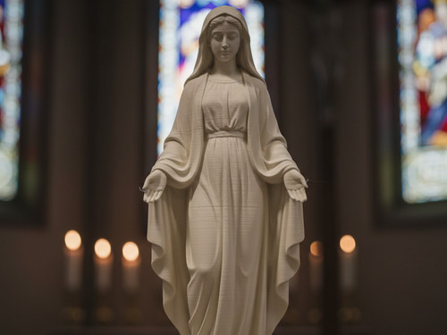 Statua madonna 20cm stampata - 20cm,