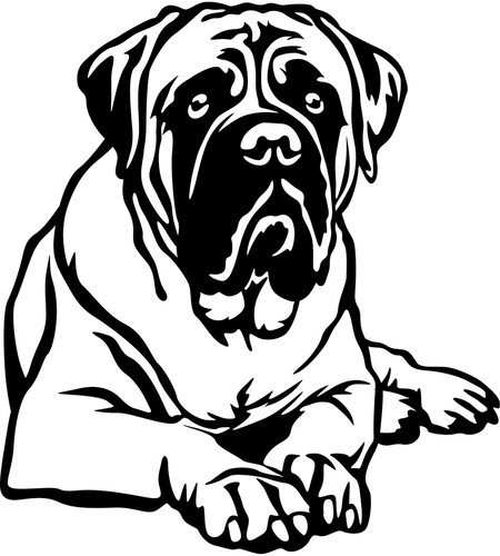 Adesivo bullmastiff - bullmastiff,