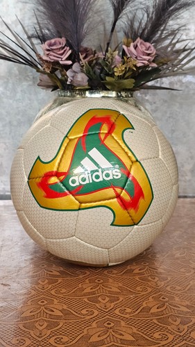 Fifa world cup - world,
