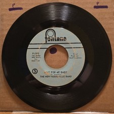 The New Vaudeville Band -