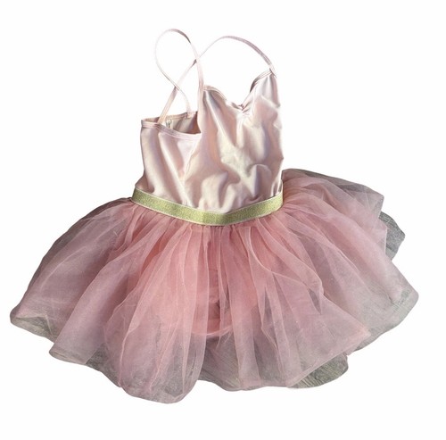 Costume principessa tutù rosa
