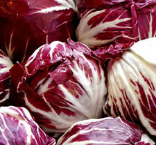 RADICCHIO  SEEDS 500+ PALLA