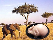 Vecchia statua statuina no