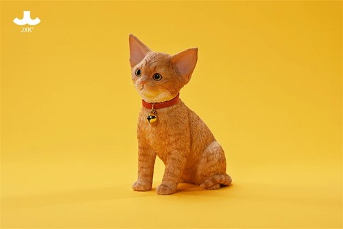 Jxk devon rex - devon, 2.0