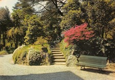 Cartolina Loveno di Menaggio